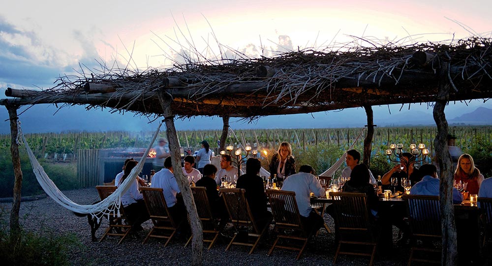 Evening Events in the Vineyard
