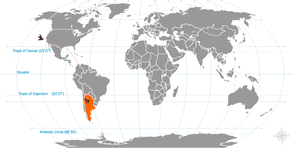 World map highlighting Argentina