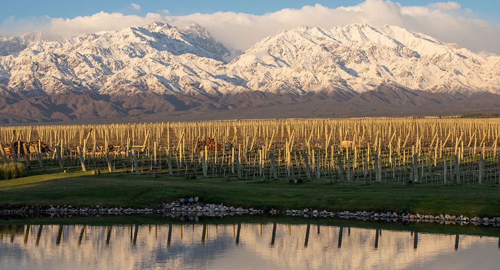 The Snowy Mountains of Mendoza